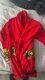 Versace Bathrobe Red Size XL Used